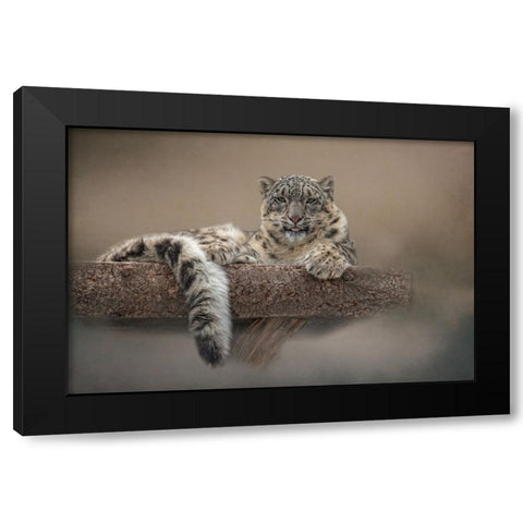 Lounging Around Black Modern Wood Framed Art Print with Double Matting by Parker, Kelley