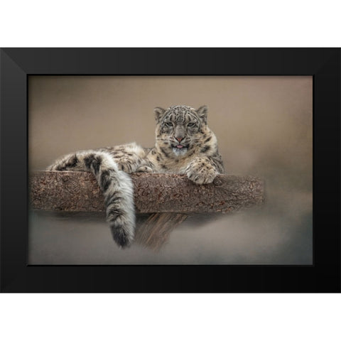 Lounging Around Black Modern Wood Framed Art Print by Parker, Kelley