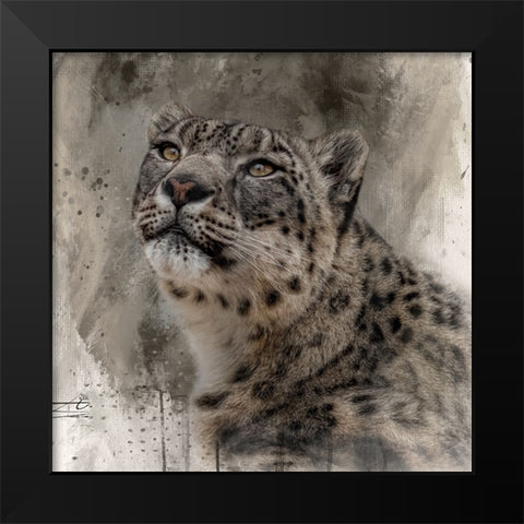 Snow Royalty Black Modern Wood Framed Art Print by Parker, Kelley