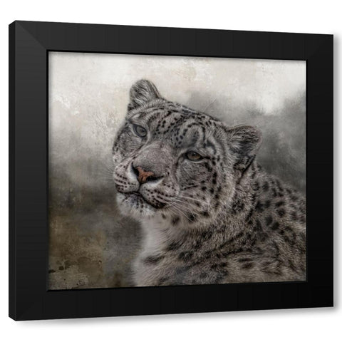 Face of the Wild Black Modern Wood Framed Art Print by Parker, Kelley