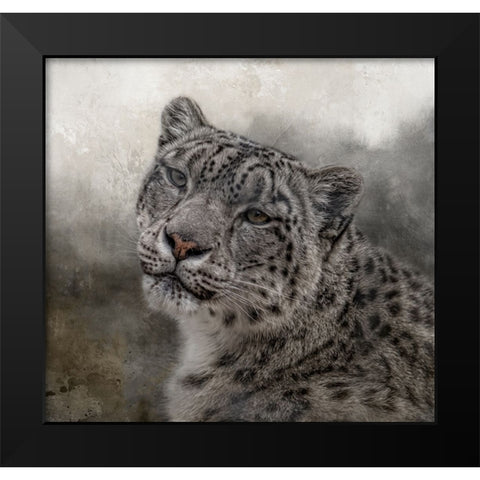 Face of the Wild Black Modern Wood Framed Art Print by Parker, Kelley
