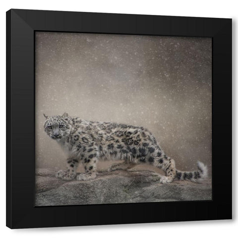 Brave Enough Black Modern Wood Framed Art Print by Parker, Kelley