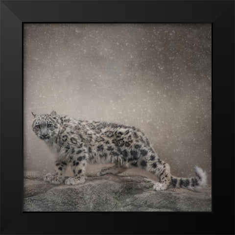 Brave Enough Black Modern Wood Framed Art Print by Parker, Kelley