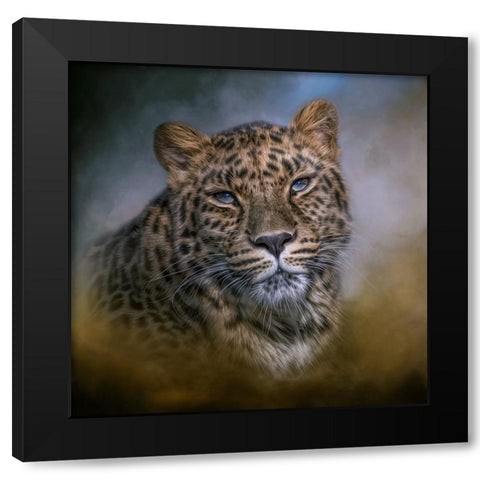 Daydreamer Black Modern Wood Framed Art Print by Parker, Kelley