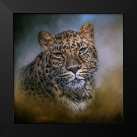 Daydreamer Black Modern Wood Framed Art Print by Parker, Kelley