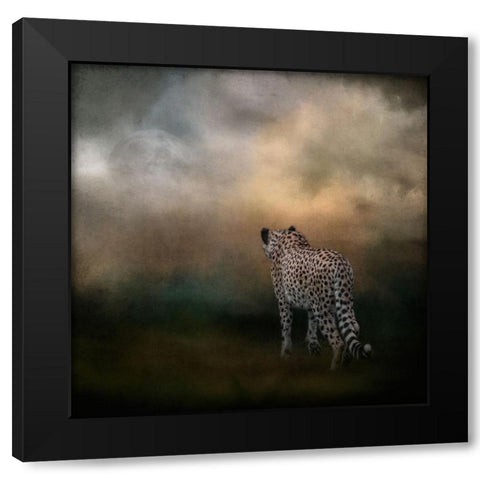 Heading Home Black Modern Wood Framed Art Print with Double Matting by Parker, Kelley