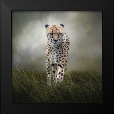 On the Move Black Modern Wood Framed Art Print by Parker, Kelley