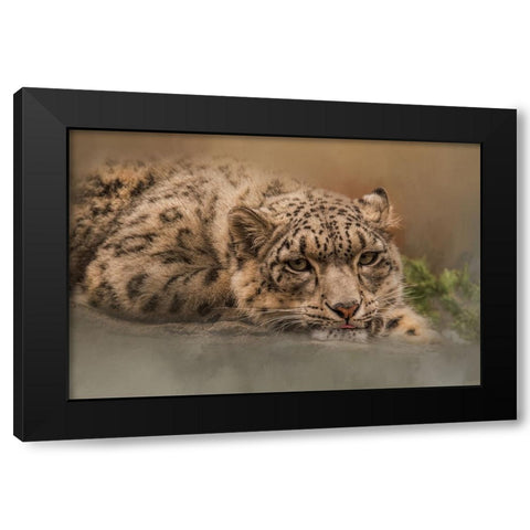 Taking It Easy Black Modern Wood Framed Art Print by Parker, Kelley