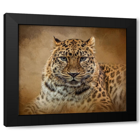 The Stare Black Modern Wood Framed Art Print with Double Matting by Parker, Kelley