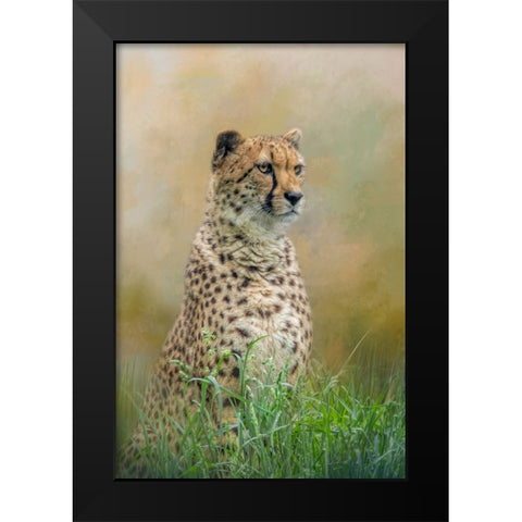 Waiting Patiently Black Modern Wood Framed Art Print by Parker, Kelley