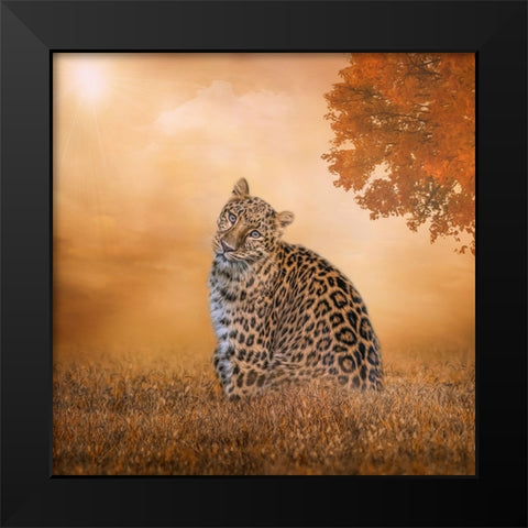 The Sunny Spot Black Modern Wood Framed Art Print by Parker, Kelley