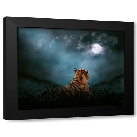 Light on the Kingdom Black Modern Wood Framed Art Print with Double Matting by Parker, Kelley