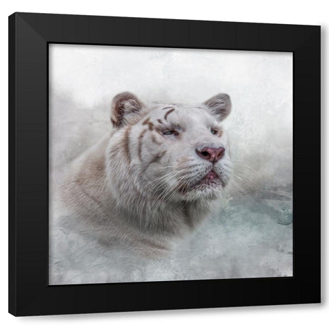 White Wizard Black Modern Wood Framed Art Print with Double Matting by Parker, Kelley