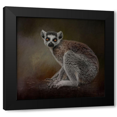 Amber Eyes Black Modern Wood Framed Art Print by Parker, Kelley