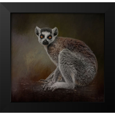 Amber Eyes Black Modern Wood Framed Art Print by Parker, Kelley