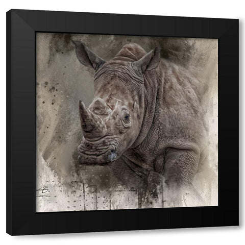 Spirit of the Rhino Black Modern Wood Framed Art Print with Double Matting by Parker, Kelley