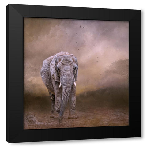 The Elderly Matriarch Black Modern Wood Framed Art Print by Parker, Kelley