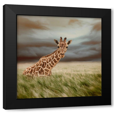 The Lookout Black Modern Wood Framed Art Print with Double Matting by Parker, Kelley