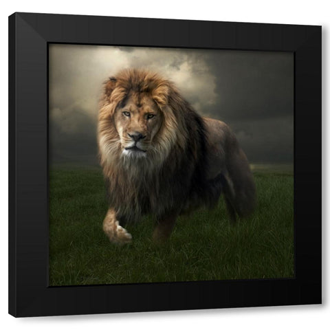 The True King Black Modern Wood Framed Art Print by Parker, Kelley