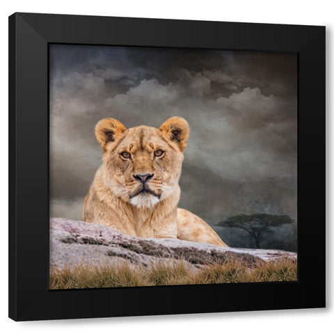 Sitting Out the Storm Black Modern Wood Framed Art Print by Parker, Kelley