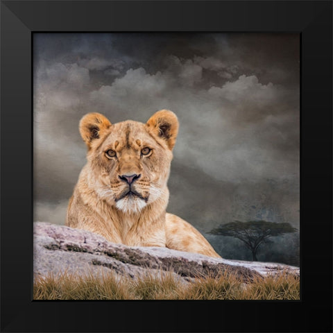 Sitting Out the Storm Black Modern Wood Framed Art Print by Parker, Kelley