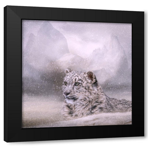 Kingdom of Snow Black Modern Wood Framed Art Print by Parker, Kelley