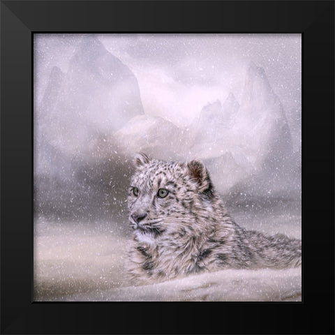 Kingdom of Snow Black Modern Wood Framed Art Print by Parker, Kelley