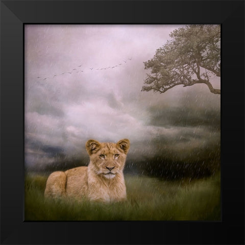 Beginning to Rain Black Modern Wood Framed Art Print by Parker, Kelley