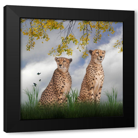 Cheetah Dreams Black Modern Wood Framed Art Print with Double Matting by Parker, Kelley