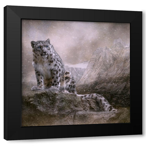 Edge of the Storm Black Modern Wood Framed Art Print with Double Matting by Parker, Kelley