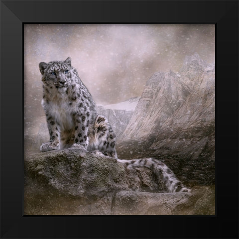 Edge of the Storm Black Modern Wood Framed Art Print by Parker, Kelley