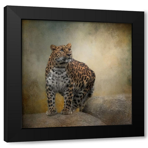 On the Lookout Black Modern Wood Framed Art Print by Parker, Kelley
