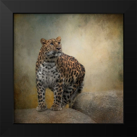 On the Lookout Black Modern Wood Framed Art Print by Parker, Kelley