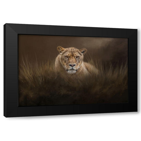 Hiding in the Grass Black Modern Wood Framed Art Print with Double Matting by Parker, Kelley