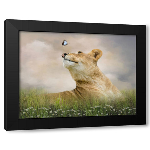 Chance Encounter Black Modern Wood Framed Art Print with Double Matting by Parker, Kelley