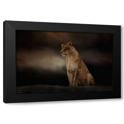 Evening Sentinel Black Modern Wood Framed Art Print by Parker, Kelley