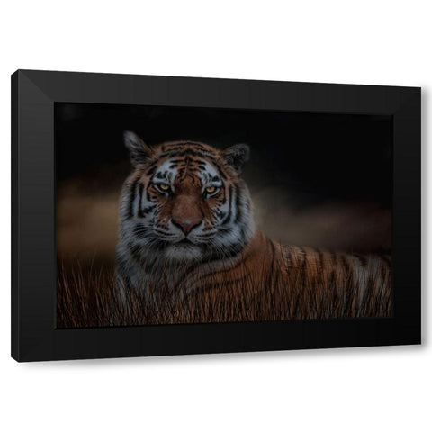 Alone in the Night Black Modern Wood Framed Art Print with Double Matting by Parker, Kelley