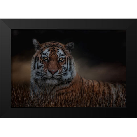 Alone in the Night Black Modern Wood Framed Art Print by Parker, Kelley