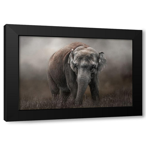 Power and Grace Black Modern Wood Framed Art Print with Double Matting by Parker, Kelley