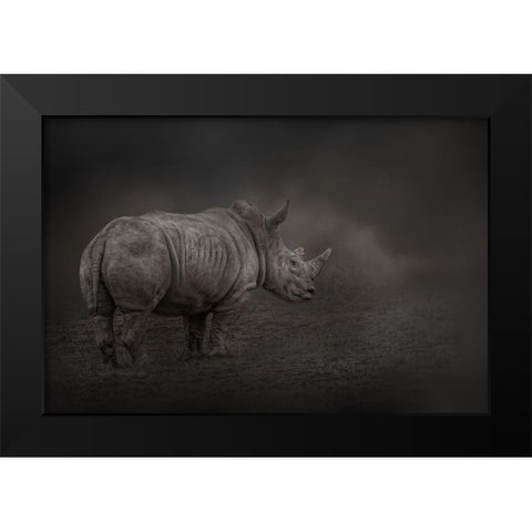 Rhino Land Black Modern Wood Framed Art Print by Parker, Kelley