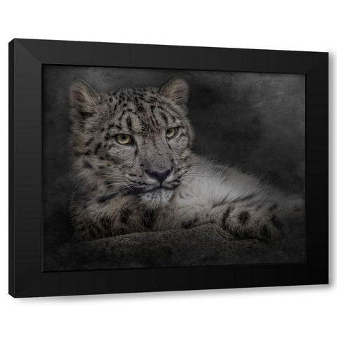 Lurking in the Shadows Black Modern Wood Framed Art Print by Parker, Kelley