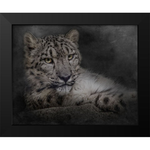 Lurking in the Shadows Black Modern Wood Framed Art Print by Parker, Kelley