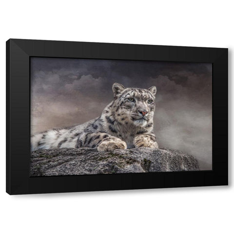 Spotted Beauty Black Modern Wood Framed Art Print with Double Matting by Parker, Kelley