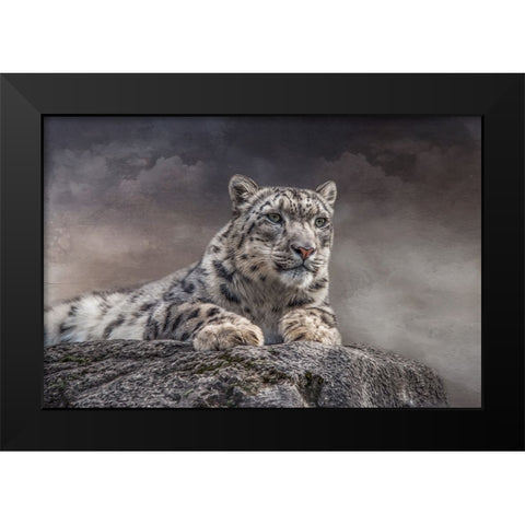 Spotted Beauty Black Modern Wood Framed Art Print by Parker, Kelley
