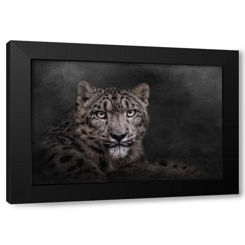 Piercing the Darkness Black Modern Wood Framed Art Print with Double Matting by Parker, Kelley