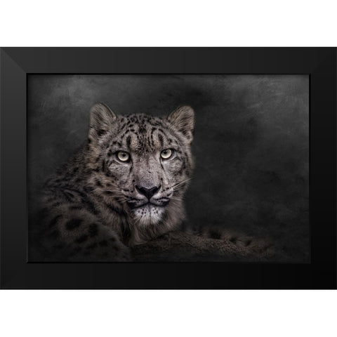 Piercing the Darkness Black Modern Wood Framed Art Print by Parker, Kelley