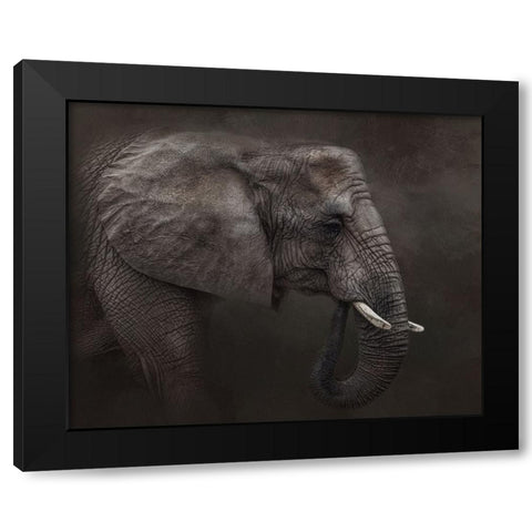 Ancient Wisdom Black Modern Wood Framed Art Print by Parker, Kelley