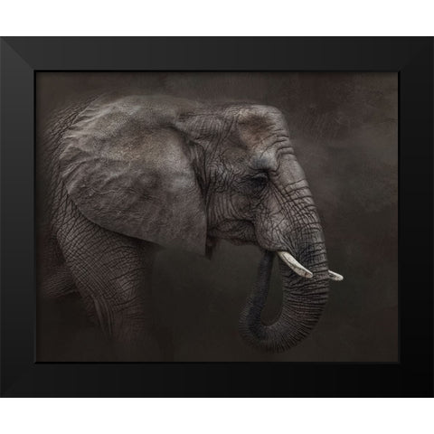 Ancient Wisdom Black Modern Wood Framed Art Print by Parker, Kelley