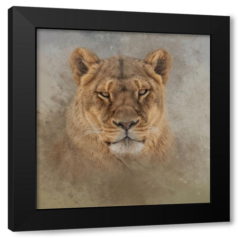 An Intense Star Black Modern Wood Framed Art Print with Double Matting by Parker, Kelley