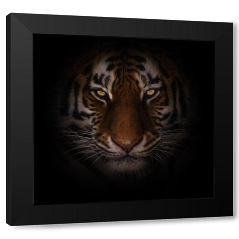 Eyes of Warning Black Modern Wood Framed Art Print by Parker, Kelley